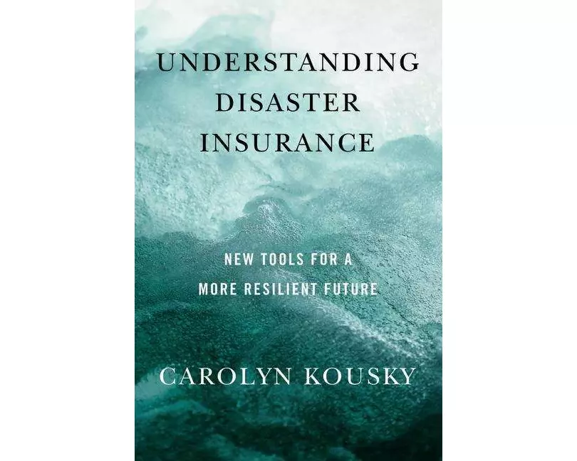 Understanding Disaster Insurance