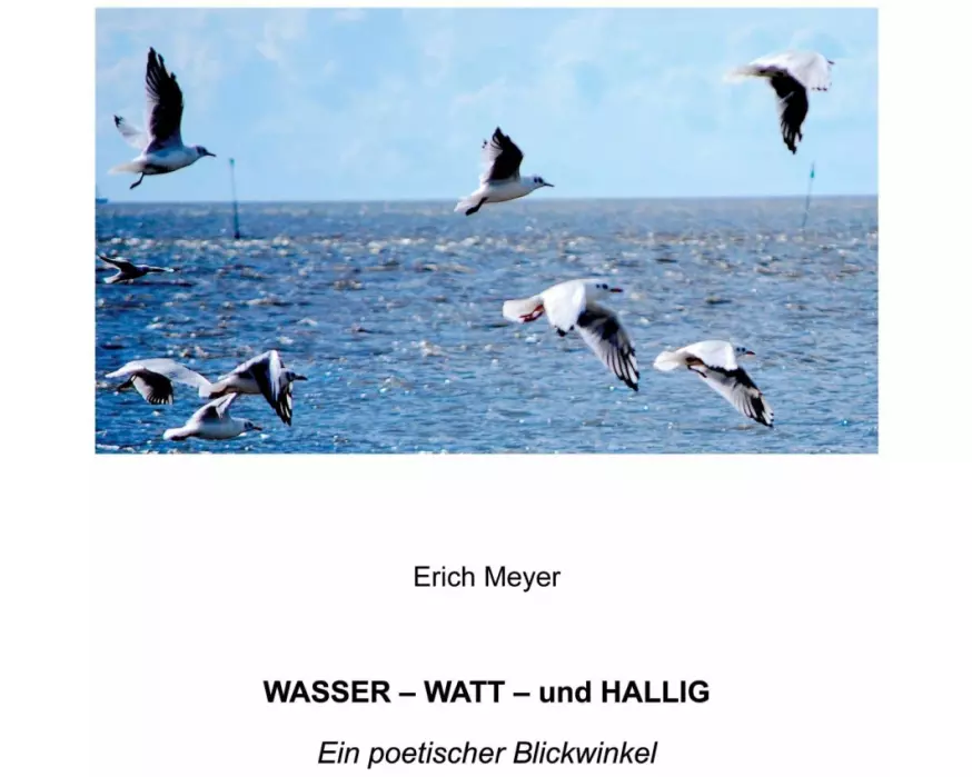 Wasser - Watt - und Hallig
