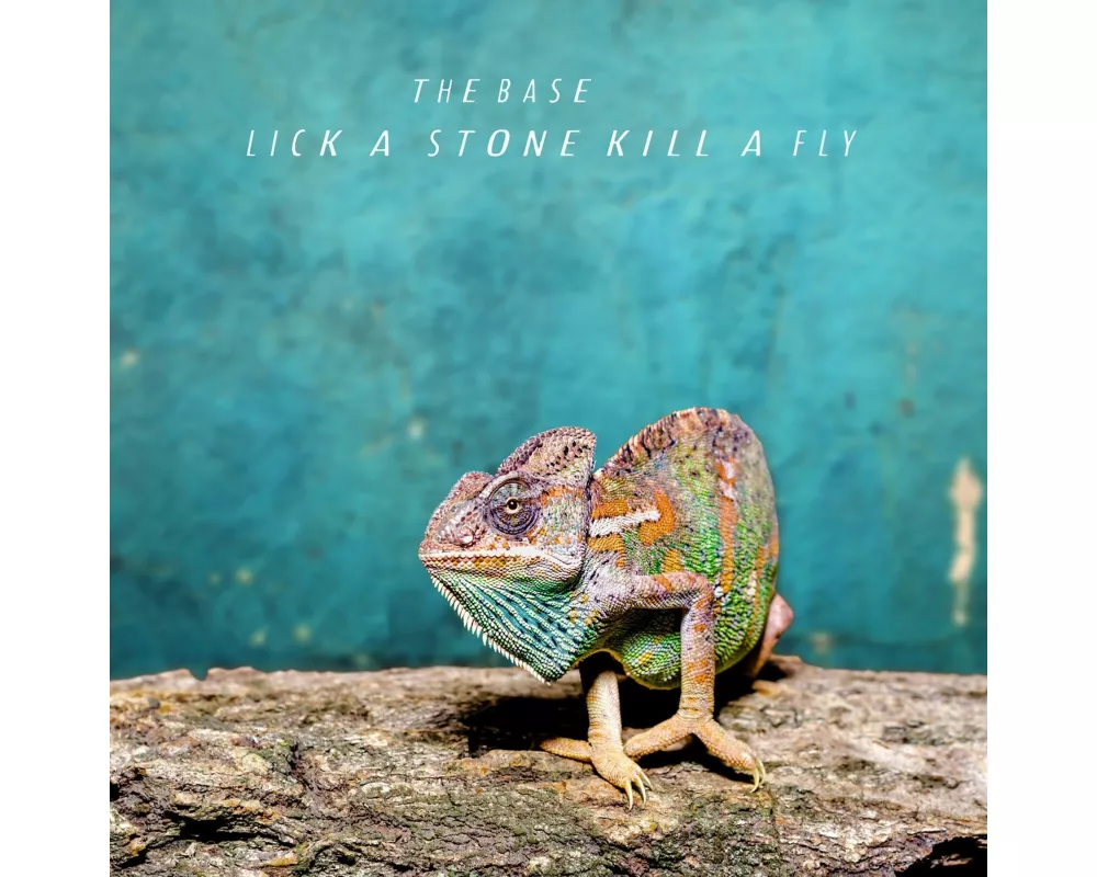 Lick A Stone Kill A Fly