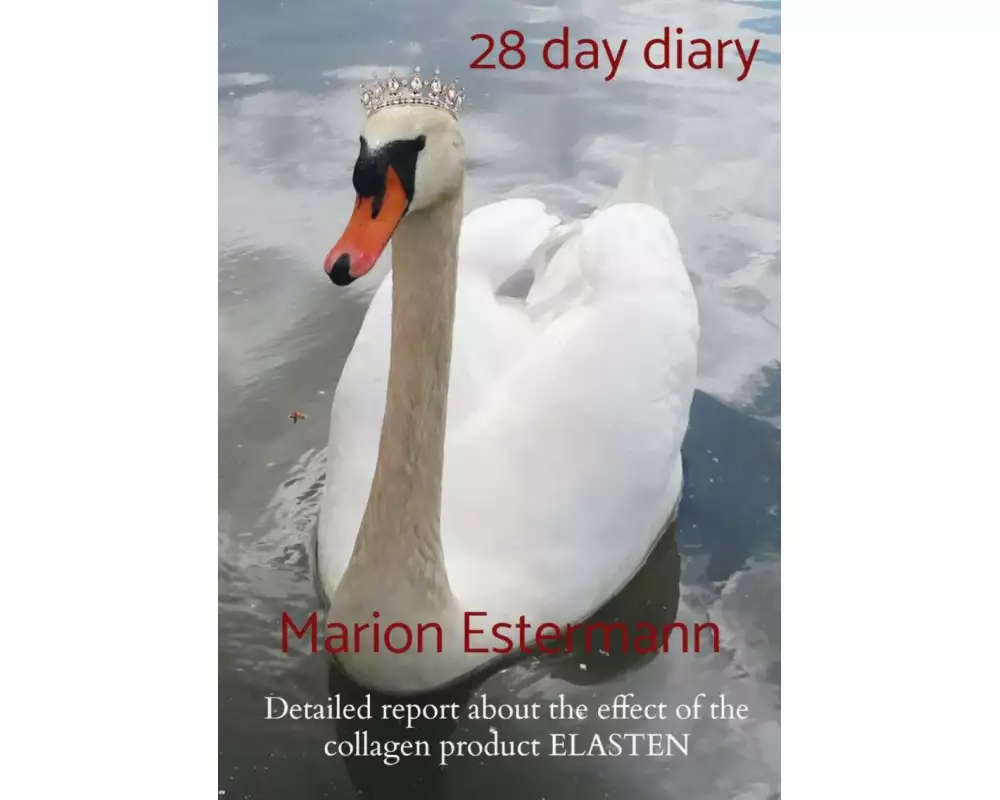 28 day diary