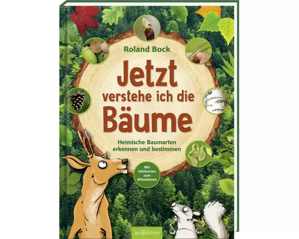 Jetzt verstehe ich die Bäume