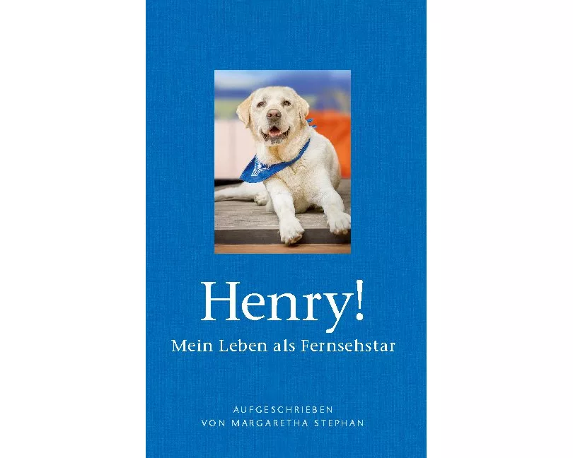 Henry! Mein Leben als Fernsehstar