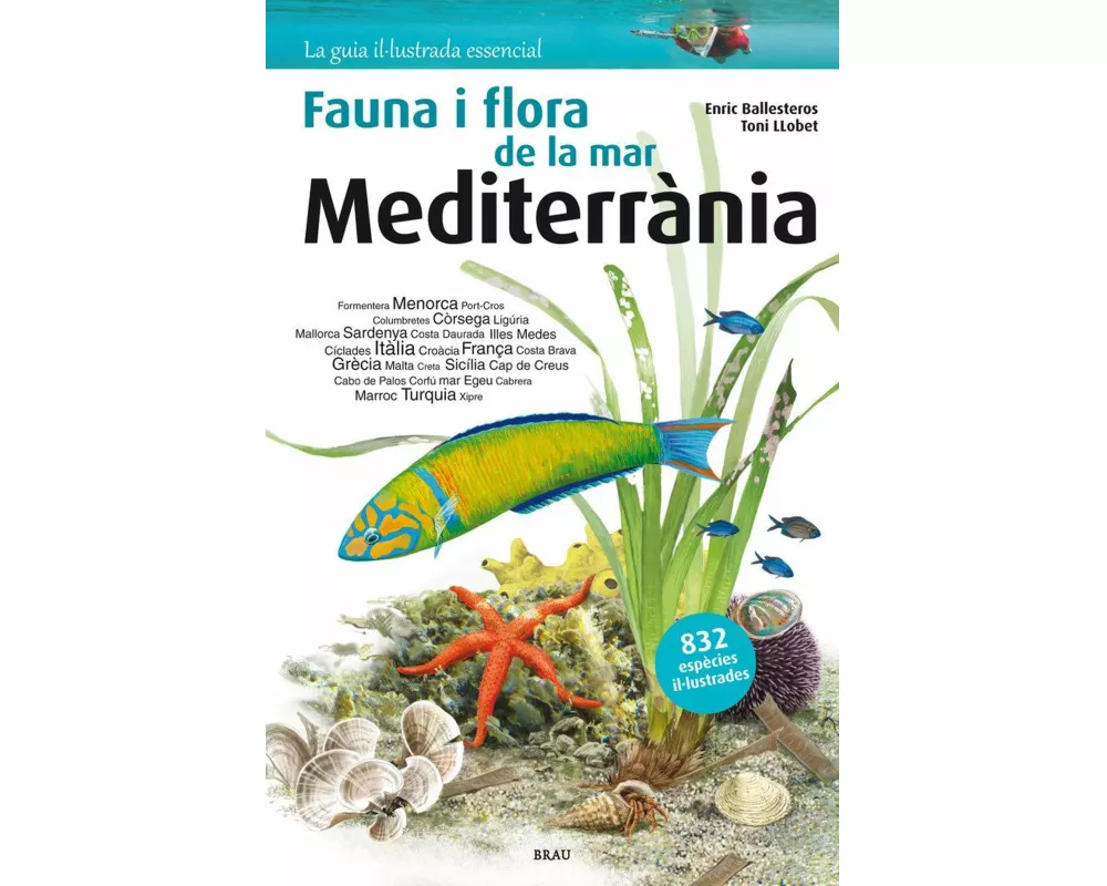 Flora i fauna de la mar Mediterrània