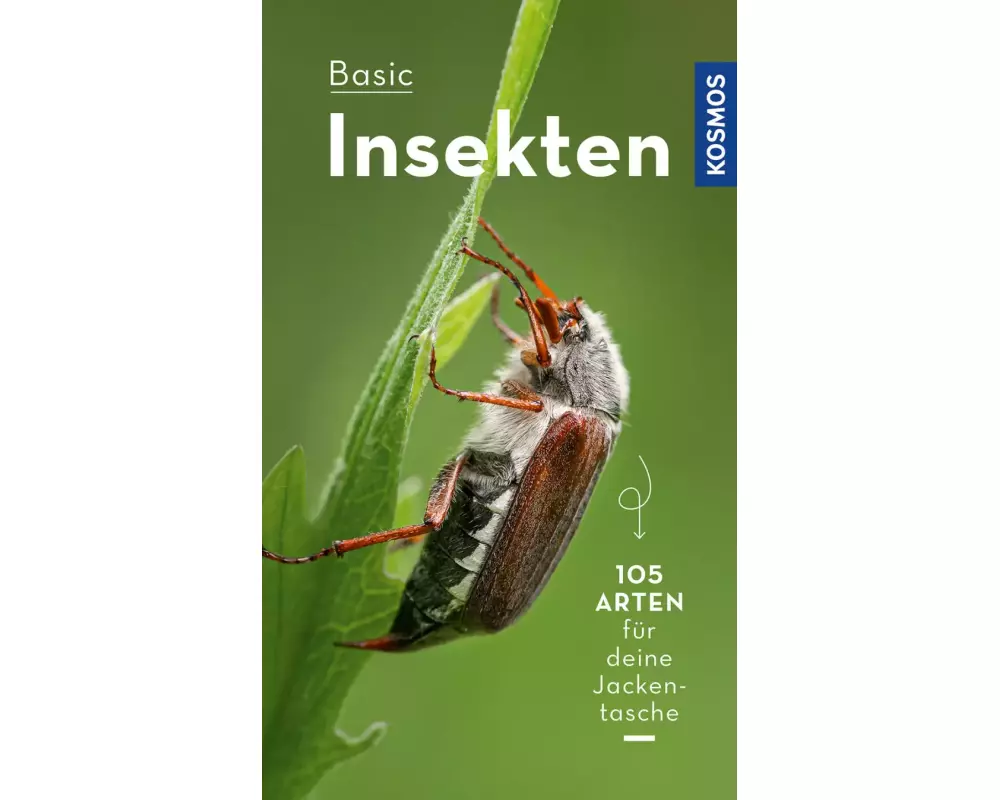 BASIC Insekten