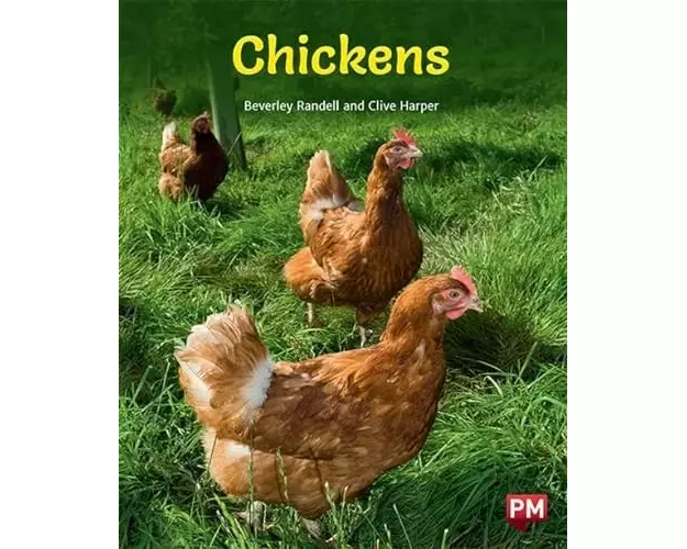 Chickens