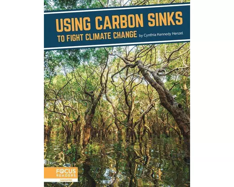 Using Carbon Sinks to Fight Climate Change