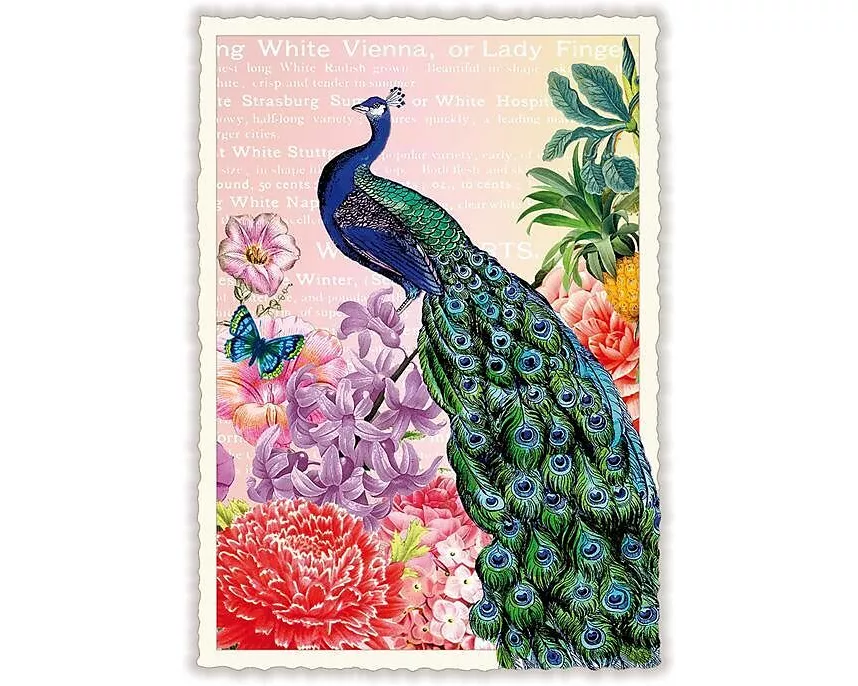 Postkarte / Pfau / hoch / blanko