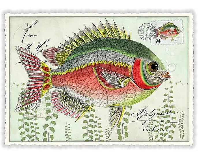 Postkarte / Fisch / quer / blanko