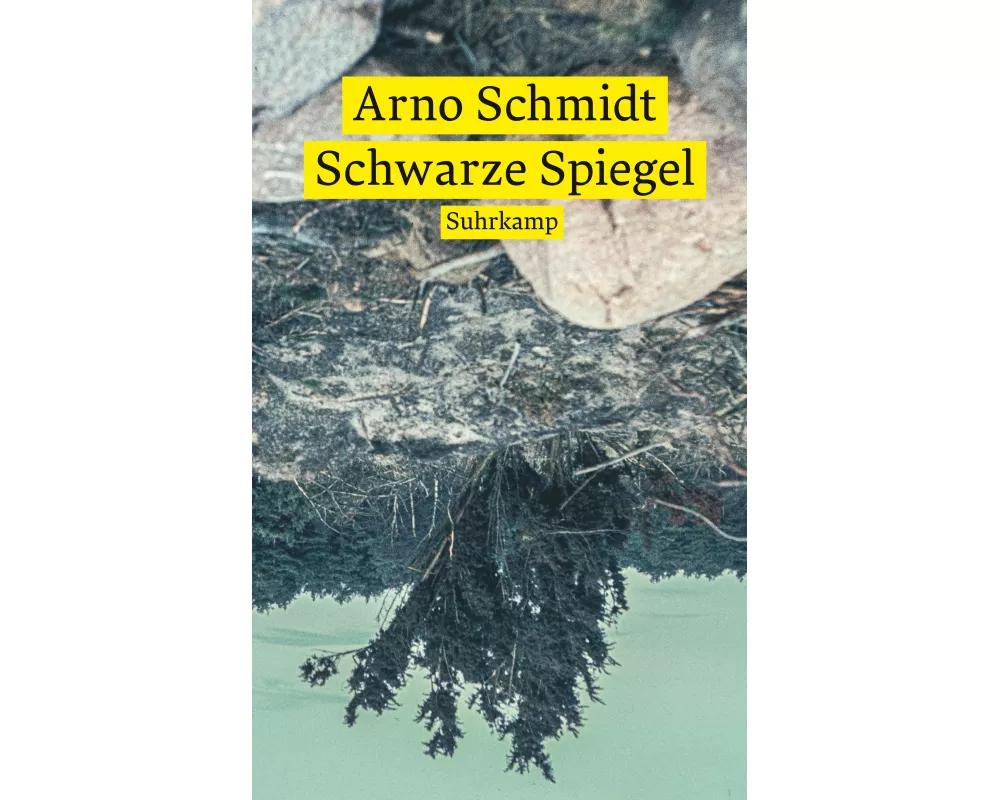 Schwarze Spiegel
