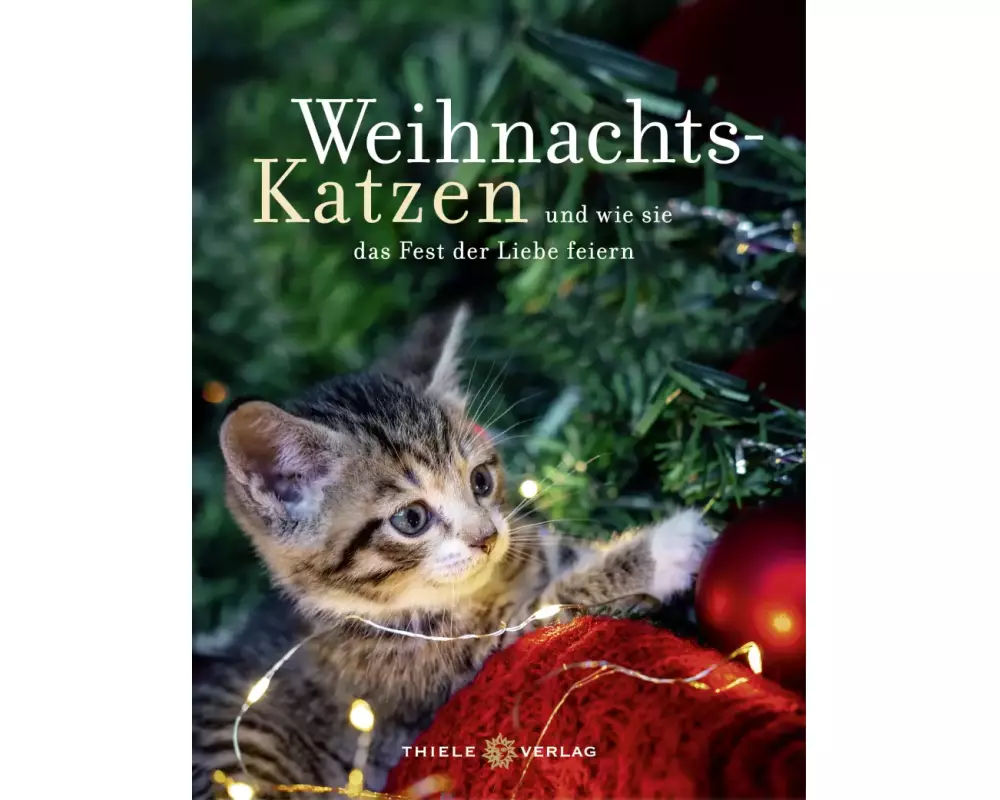 Weihnachtskatzen Geschenkbuch