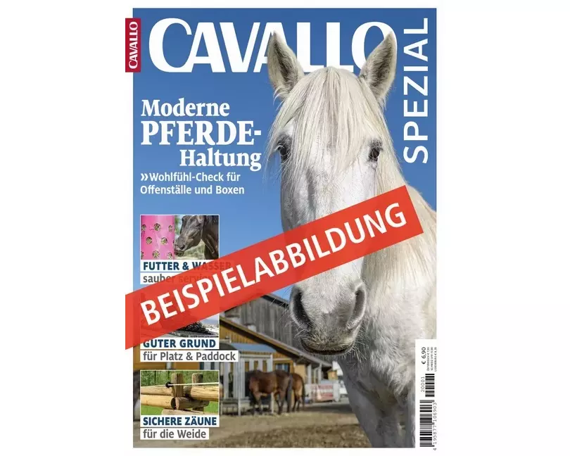 CAVALLO SPEZIAL - Sicherheit