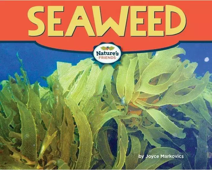 Seaweed