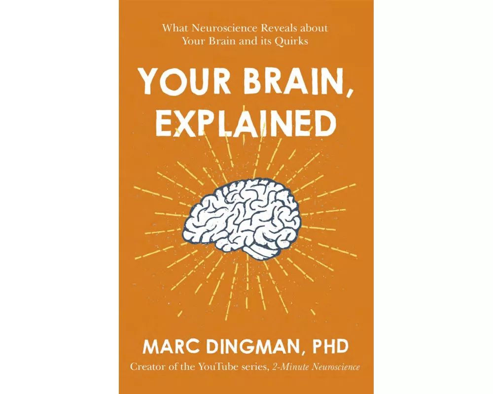 Your Brain, Explained