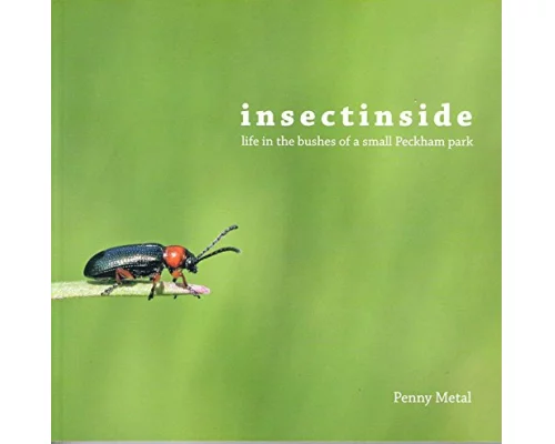Insectinside