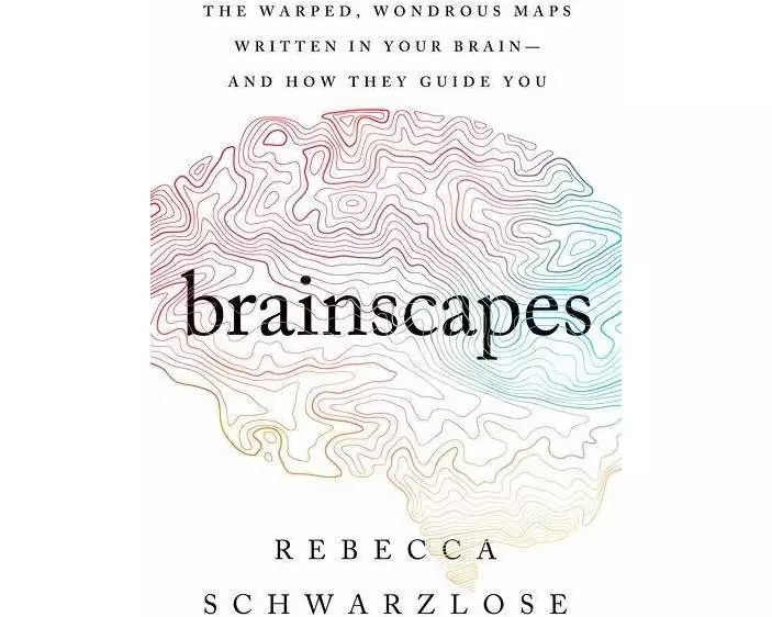 Brainscapes