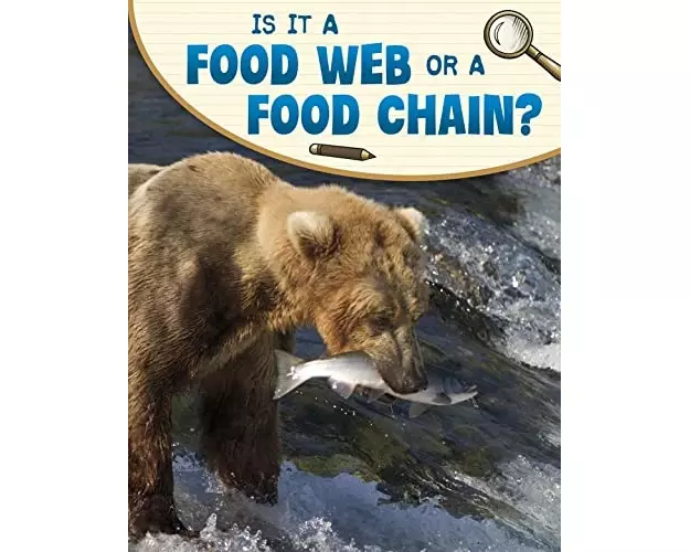 Is It a Food Web or a Food Chain?
