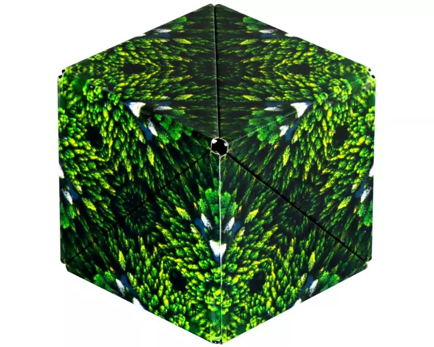 Shashibo Shashibo Cube Forest