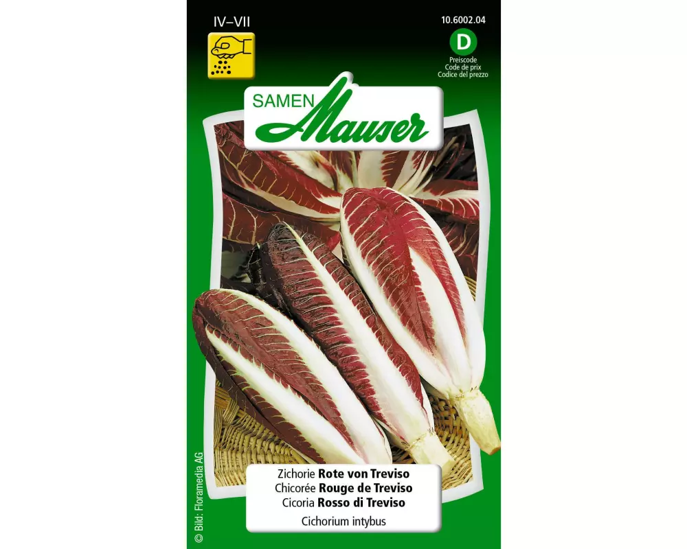 Samen Mauser Samen Zichorie Rote von Treviso