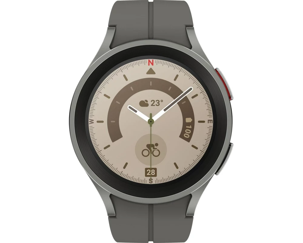 Samsung Galaxy Watch5 Pro BT 45 mm Grau