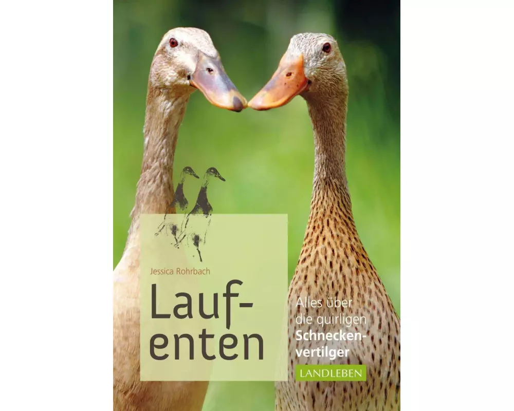 Laufenten