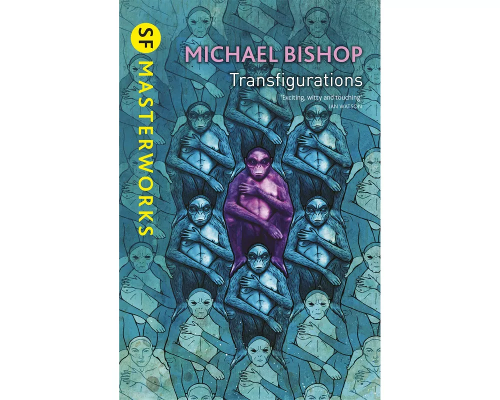 Transfigurations
