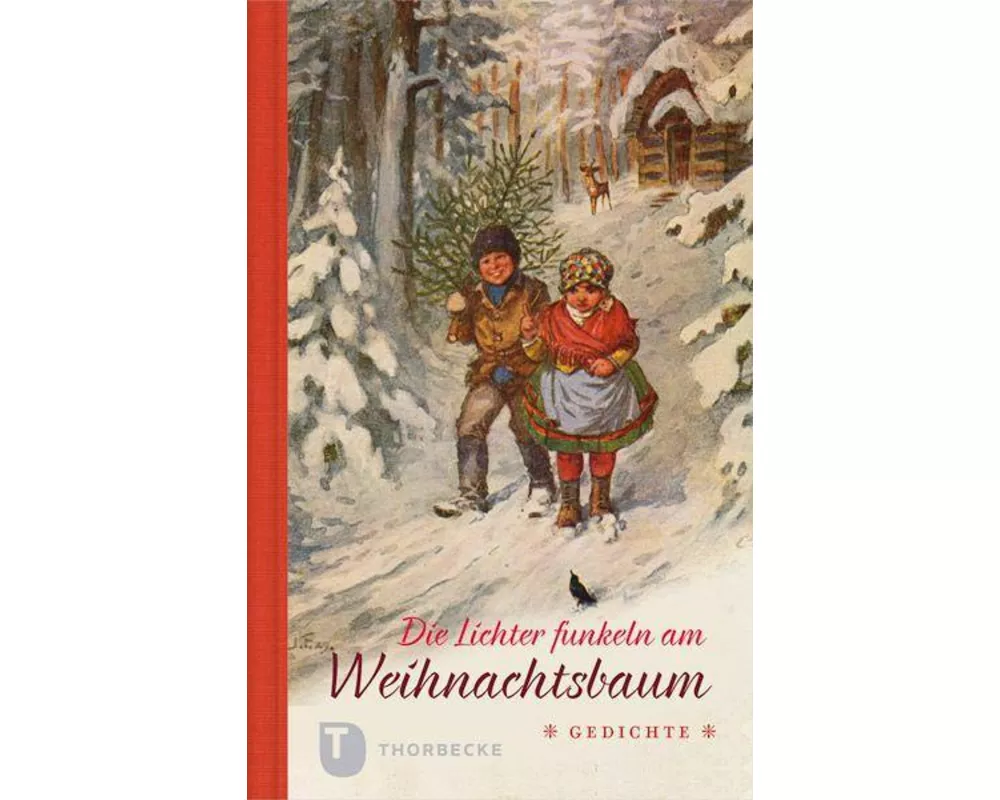 Die Lichter funkeln am Weihnachtsbaum