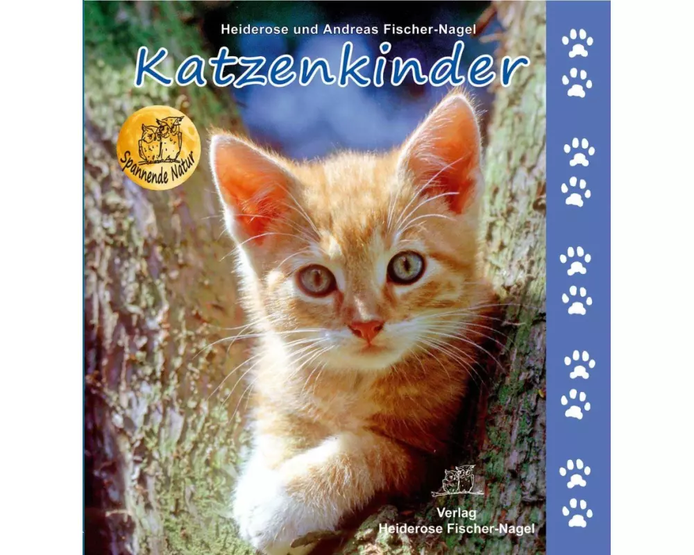 Katzenkinder