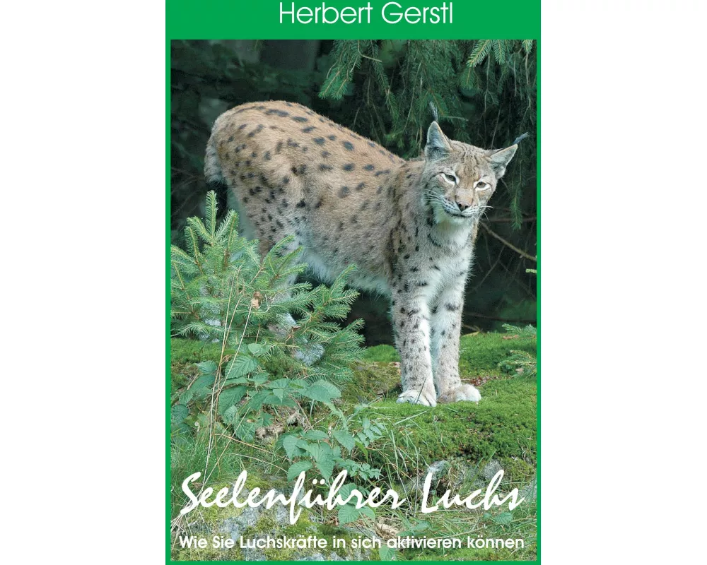 Seelenführer Luchs