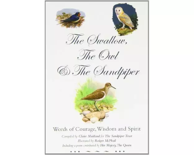 The Swallow, the Owl and the Sandpiper