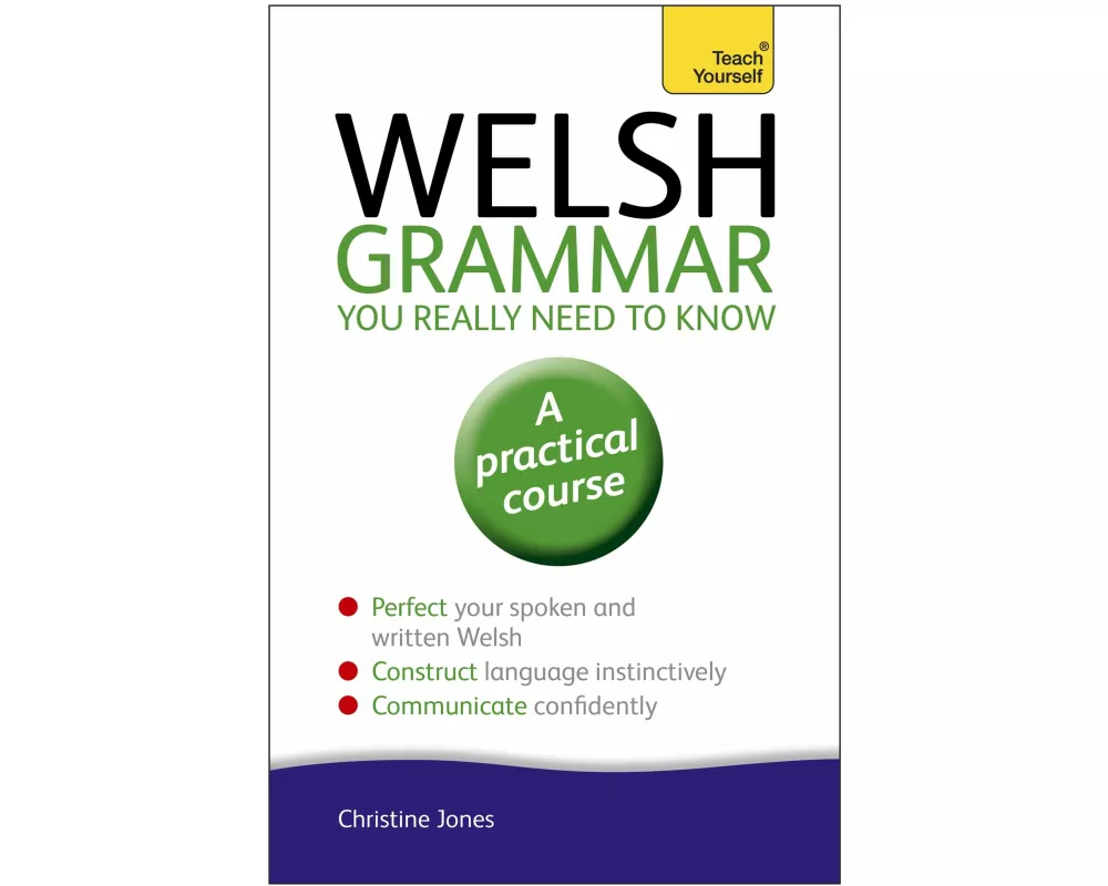 Welsh Grammar You Really Need to Know: Teach Yourself