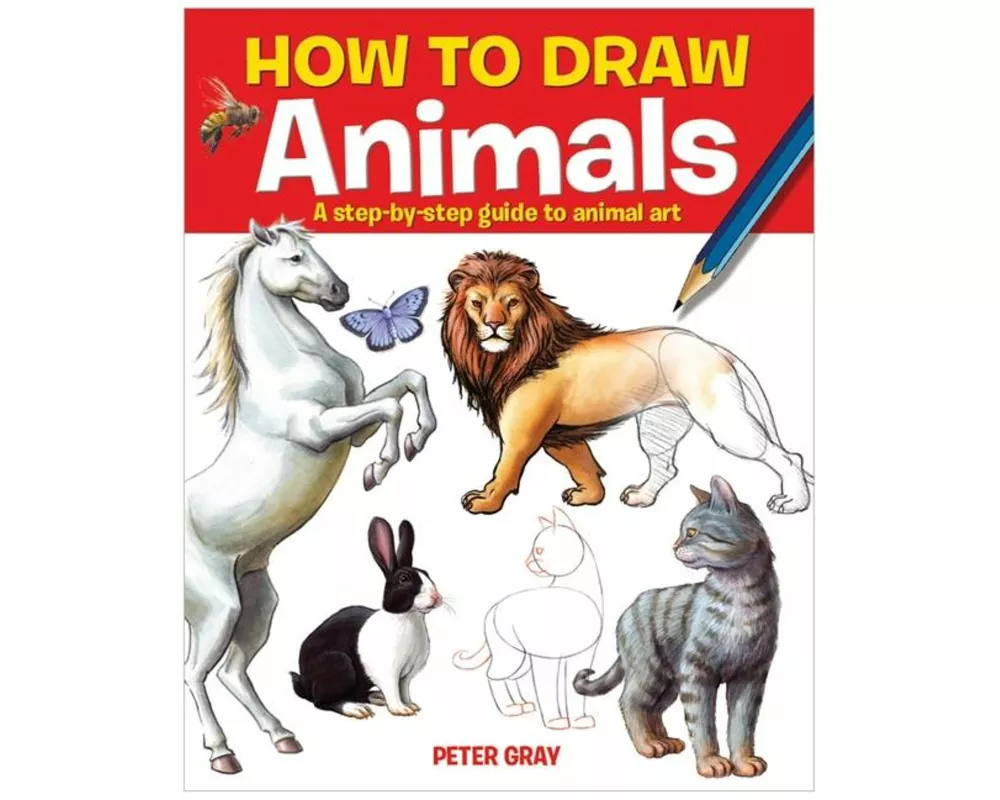 How to Draw Animals