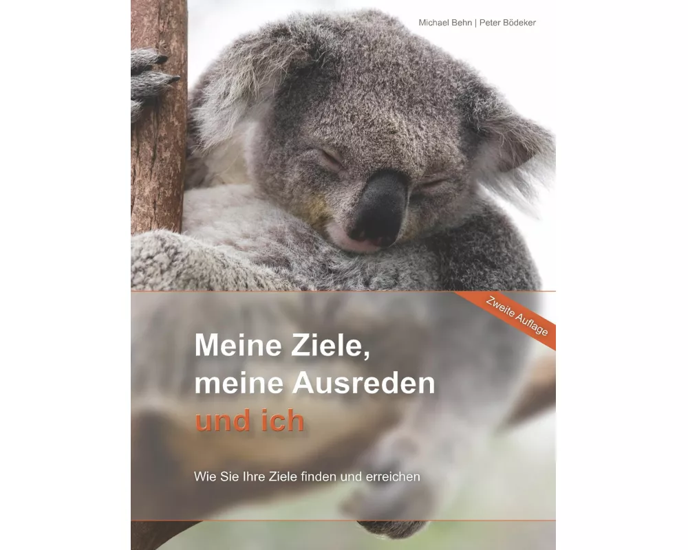 Meine Ziele, meine Ausreden und ich