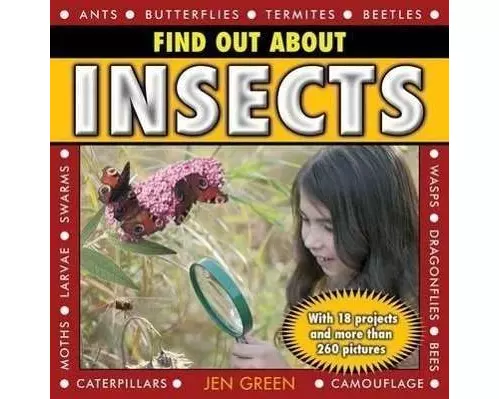 Find Out About Insects