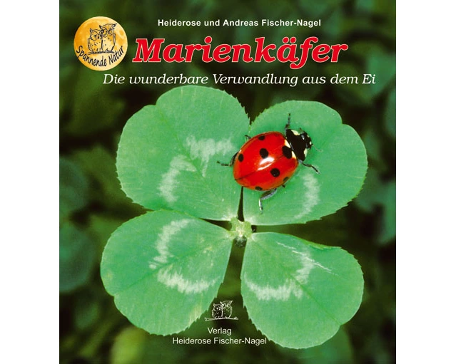 Marienkäfer