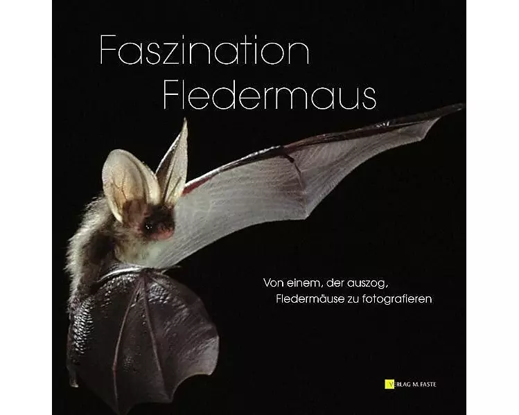 Faszination Fledermaus
