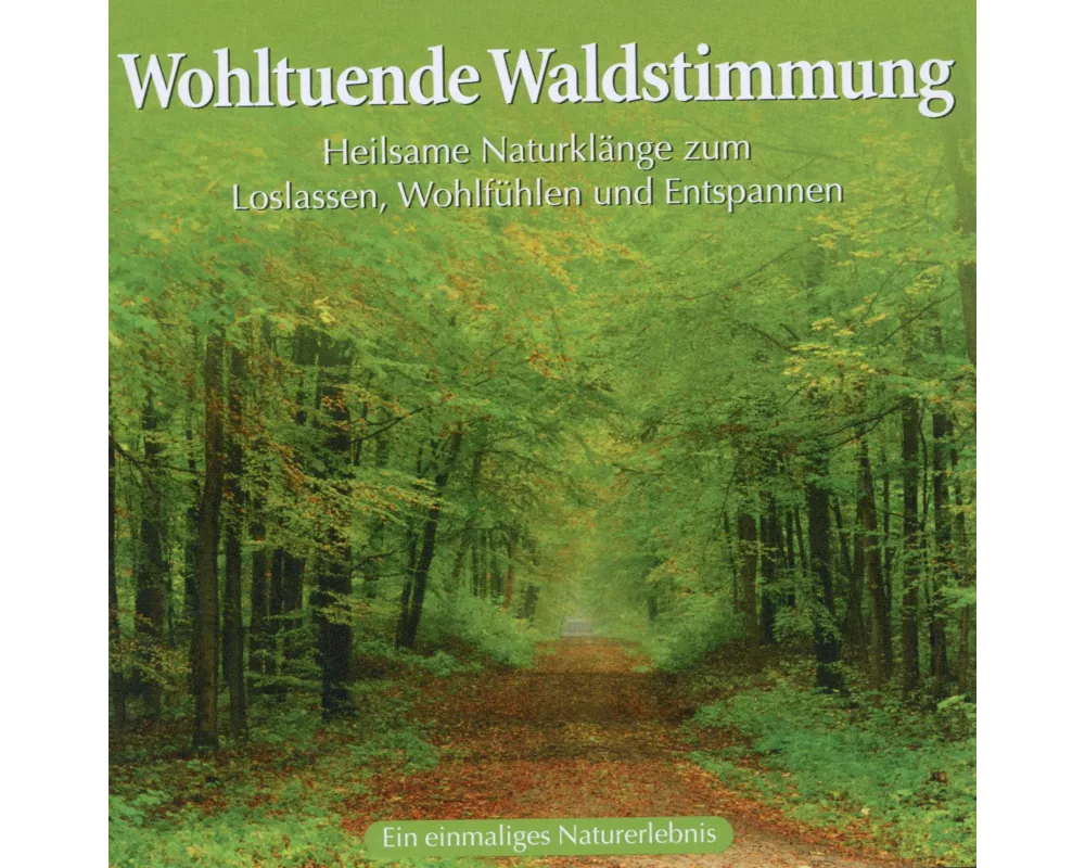 Wohltuende Waldstimmung