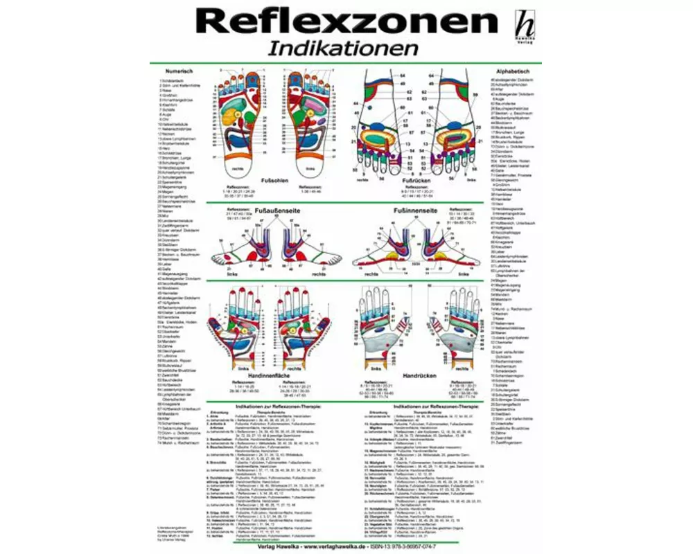 Reflexzonen-Therapie Mini-Poster - Indikationen DIN A4