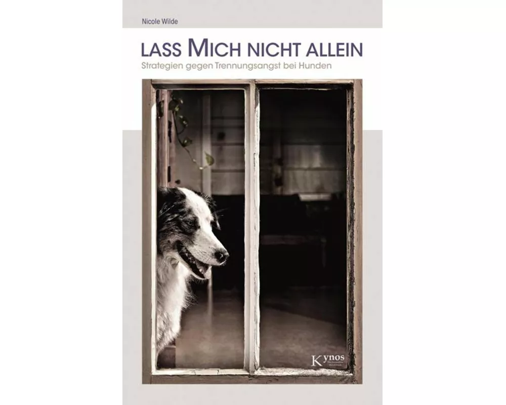 Lass mich nicht allein