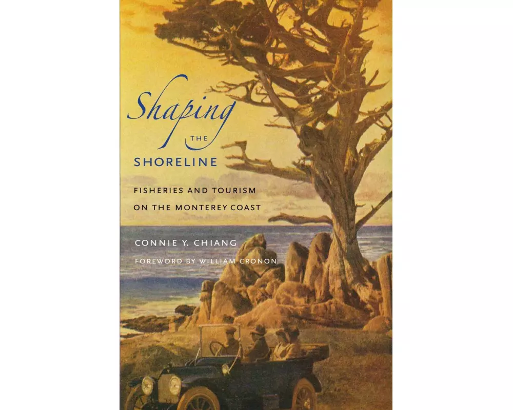 Shaping the Shoreline