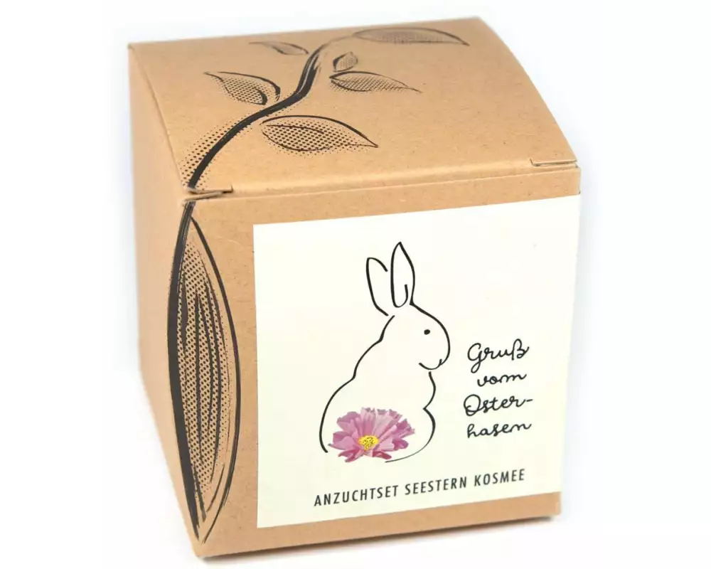Naturkraftwerk Anzuchtset Gruss vom Osterhasen, mit Seestern Kosmee