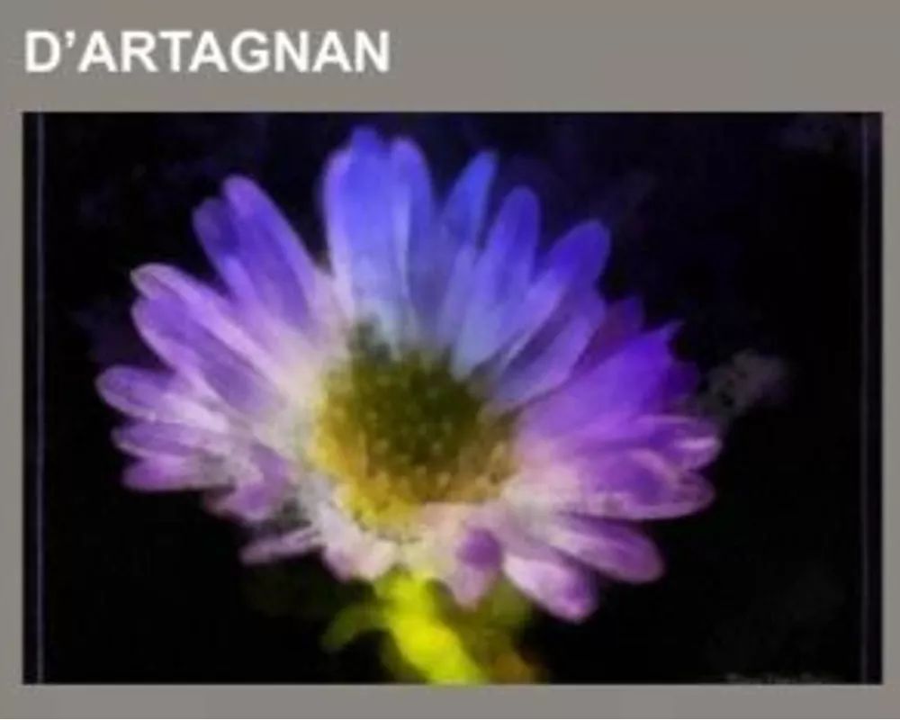 D'Artagnan