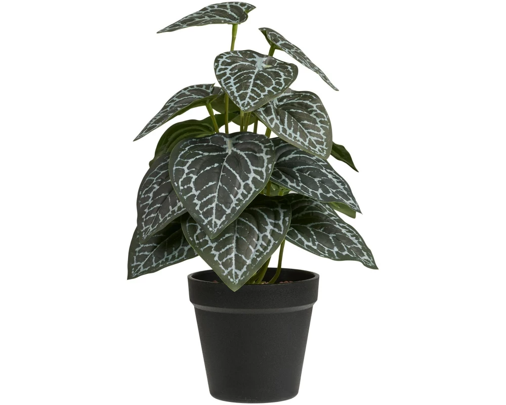 House Nordic Kunstpflanze 33 cm