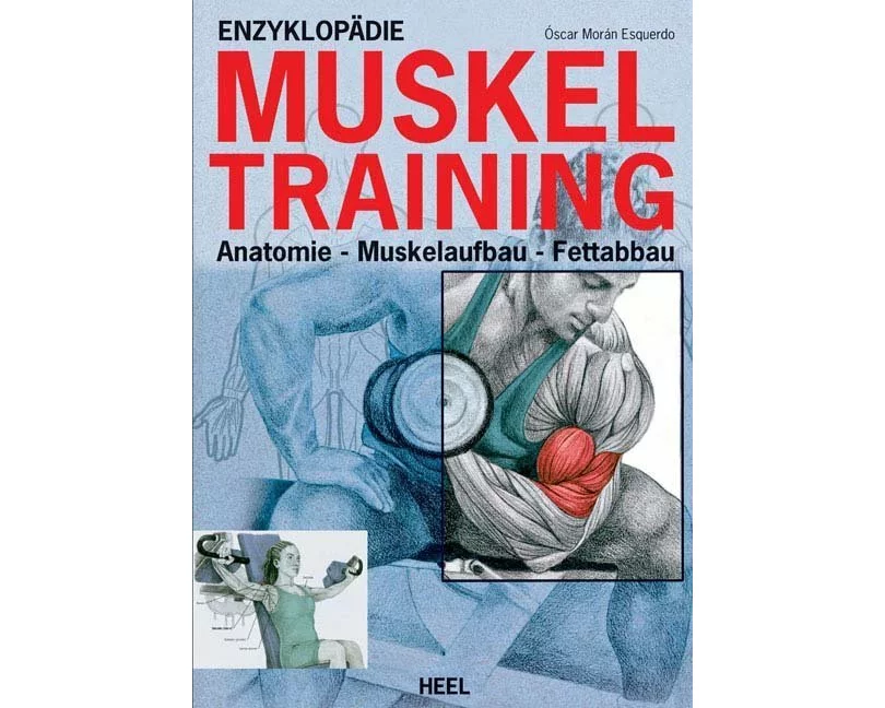 Enzyklopädie Muskeltraining
