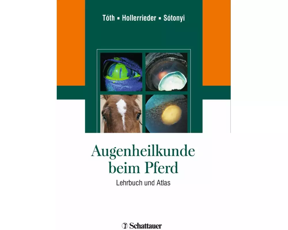Augenheilkunde beim Pferd