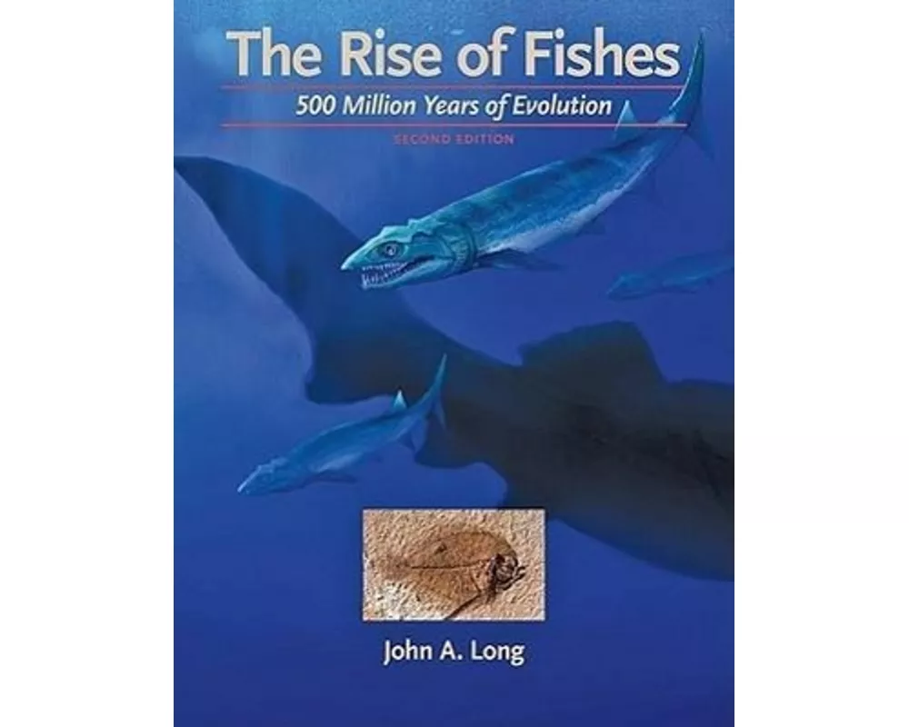 The Rise of Fishes