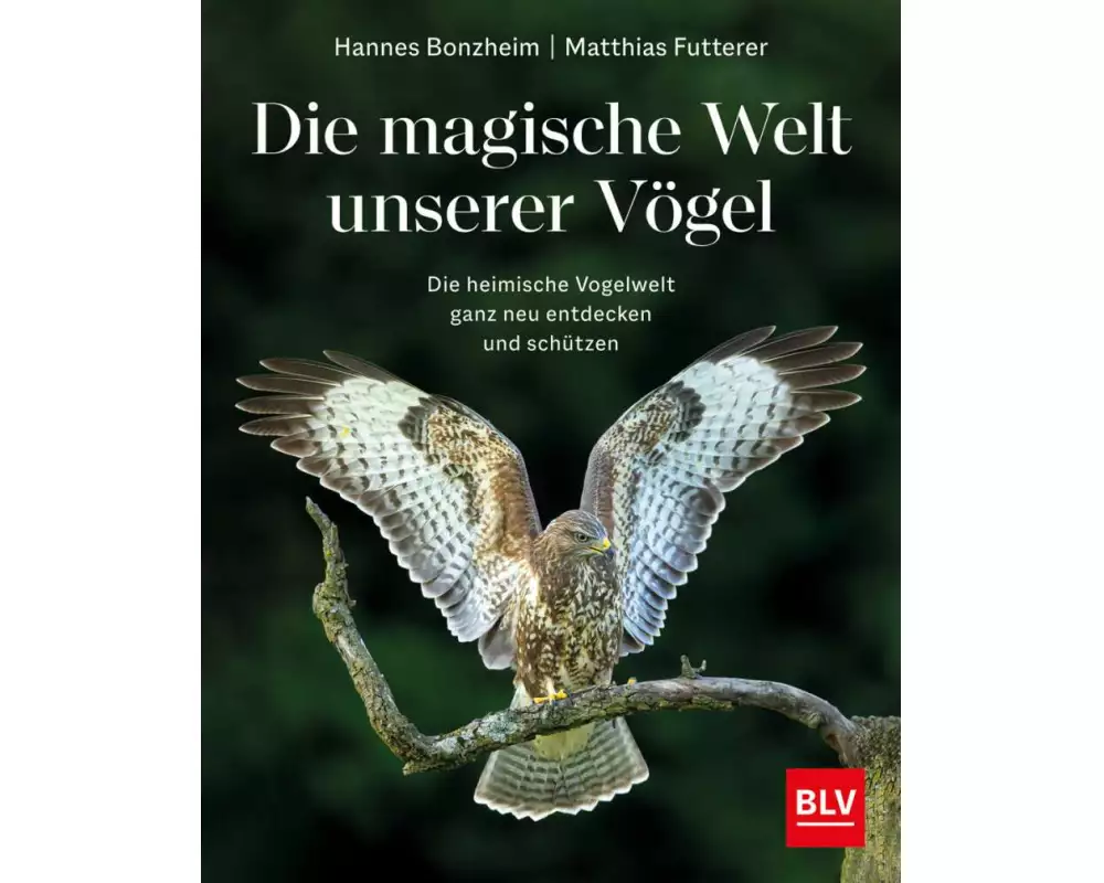 Die magische Welt unserer Vögel