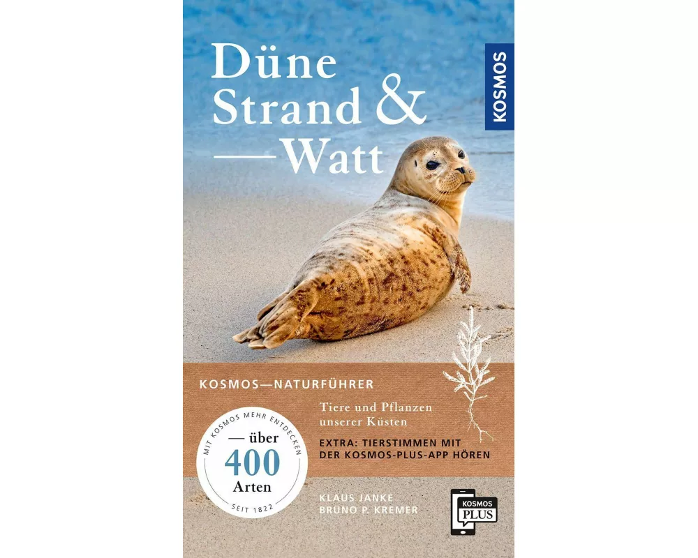 Düne, Strand und Watt