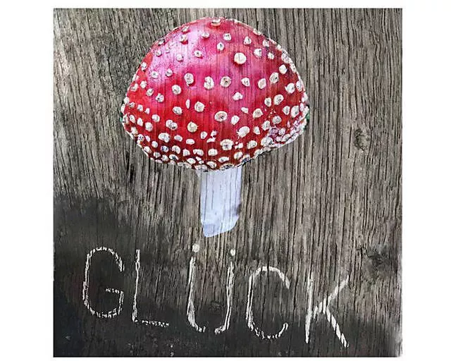 Postkarte / Glückspilz