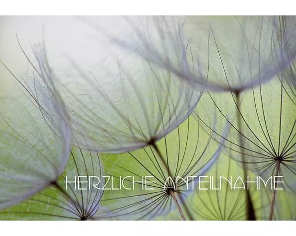 Doppelkarte. Herzliche Anteilnahme