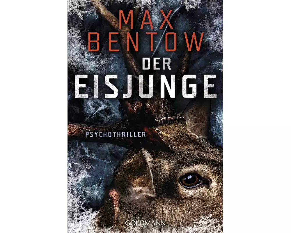 Der Eisjunge